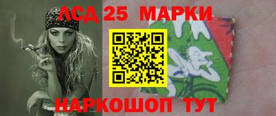 кокс Можга