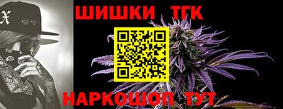 кокс Можга