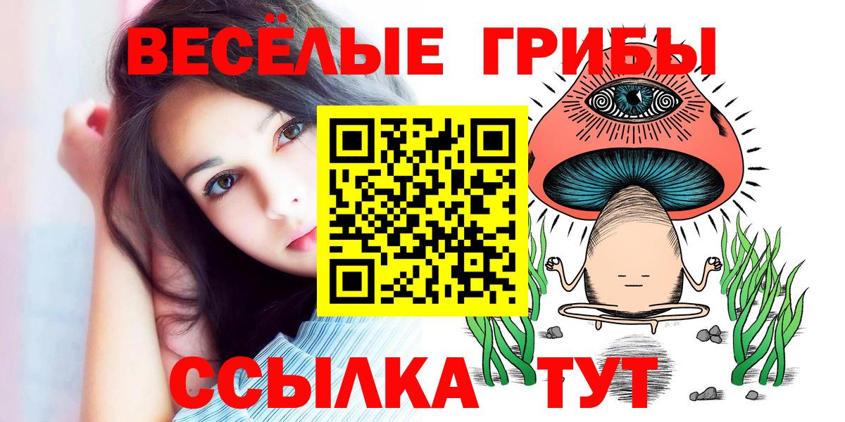 Галлюциногенные грибы ЛСД Шадринск
