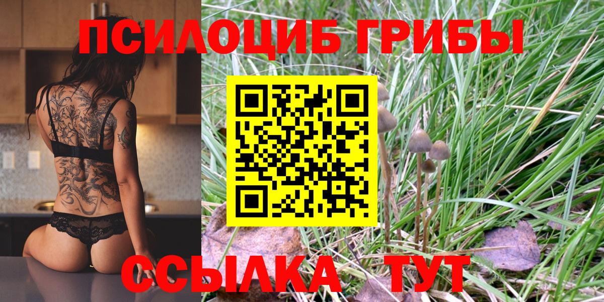 Псилоцибиновые грибы Psilocybine cubensis  Вход с VPN  Шадринск 